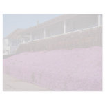 Along Cliff Road, Santa Cruz, California Letterhead