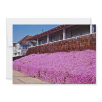 Along Cliff Road, Santa Cruz Invitation
