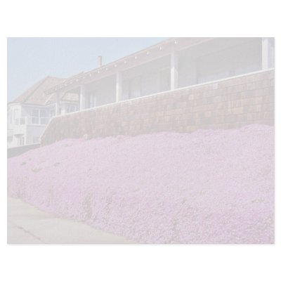 Along Cliff Road, Santa Cruz Letterhead Design by blueyellowtube