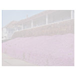 Along Cliff Road, Santa Cruz Letterhead Design