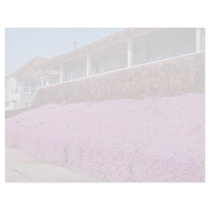 Along Cliff Road, Santa Cruz Letterhead Design