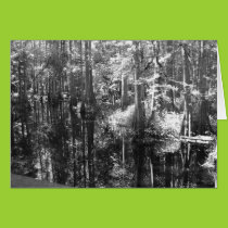 Along the Bank Card cards