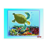 Along the Great Barrier Reef Postcards