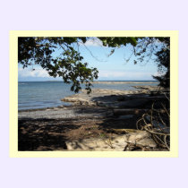 Along the Ocean posters