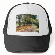 Along the Path Under the Trees hats