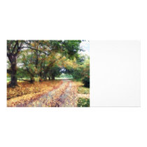 Along the Path Under the Trees photo cards