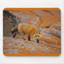 Along The Sandstorm Rocks mousepads
