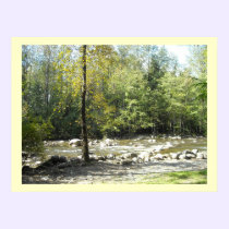 Along the Stream posters