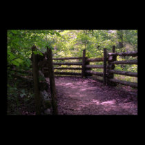 Along the trail posters