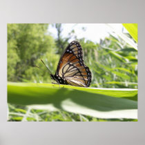 Along the way print