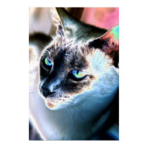 Aloof Siamese Cat Altered Poster