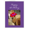 Alpaca Birthday Cards