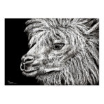 Alpaca Business Card Template