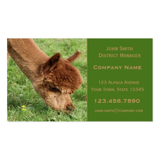 Alpaca Business Card (front side)