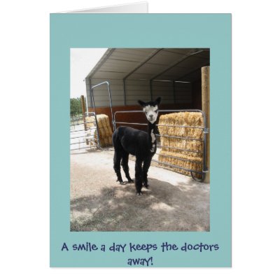 alpaca card by lizzymmmcf