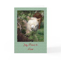 Alpaca Christmas Card