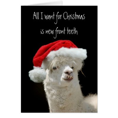 Alpaca Christmas Cards