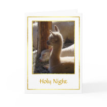 Alpaca Cria Christmas Card