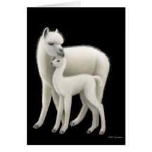 Alpaca & Cria Greeting Card
