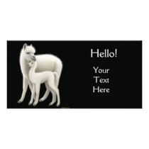 Alpaca & Cria Photo Card photo cards