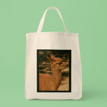 Alpaca Cria Tote Bag - "Papa's Surprise" bags