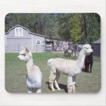 Alpaca Days mousepads