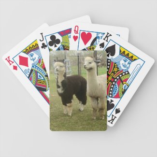Alpaca Duo Playing Cards Bicycle Playing Cards