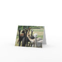 Alpaca Greetings cards by karrihillmcfadden Alpaca Greetings cards