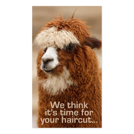 Alpaca hairstylist appointment cards business card templates (front side)