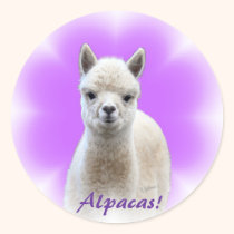Alpaca Hope Stickers
