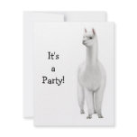 Alpaca Invitation