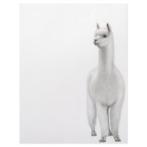 Alpaca Letterhead