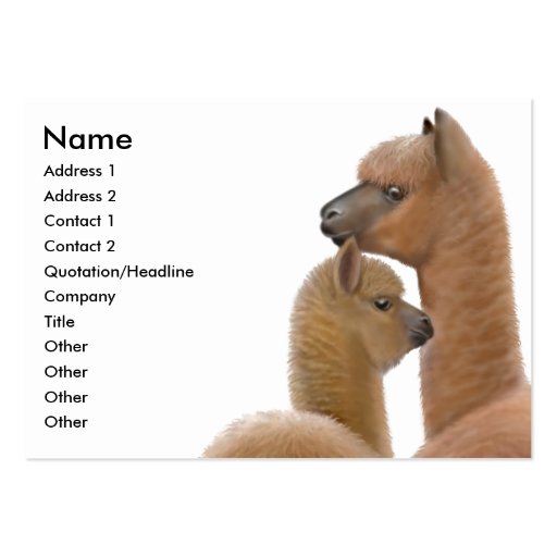 Alpaca Love Business Card (front side)
