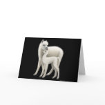 Alpaca Love Greeting Card