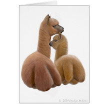 Alpaca Love Greeting Card