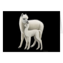 Alpaca Love Greeting Card
