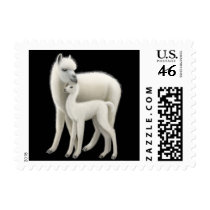 Alpaca Love Postage