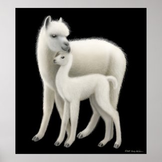 Alpaca Love Poster print