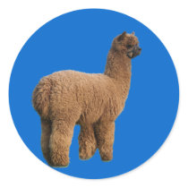Alpaca Magic Sticker