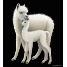 Alpaca Mom Holiday Ornament Cut Out