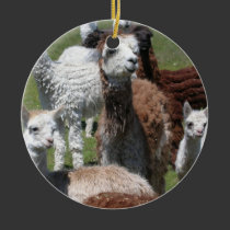 Alpaca Ornament ornaments