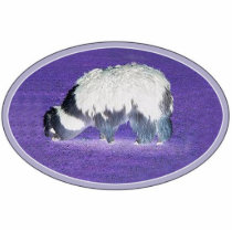 alpaca photo sculpture photo sculptures