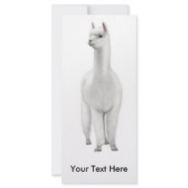 Alpaca Rack Card rack cards