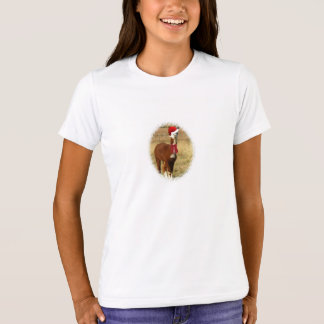 llamas with hats shirts