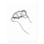 Alpaca Sketch. Post Cards
