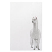 Alpaca Stationery