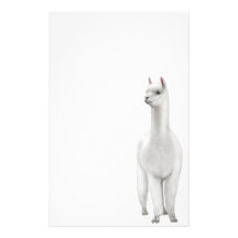 Alpaca Stationery