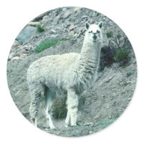 Alpaca Round Stickers