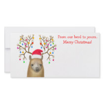 Alpaca Xmas Photo Card photo cards
