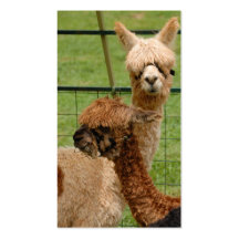 Alpacas Business Cards